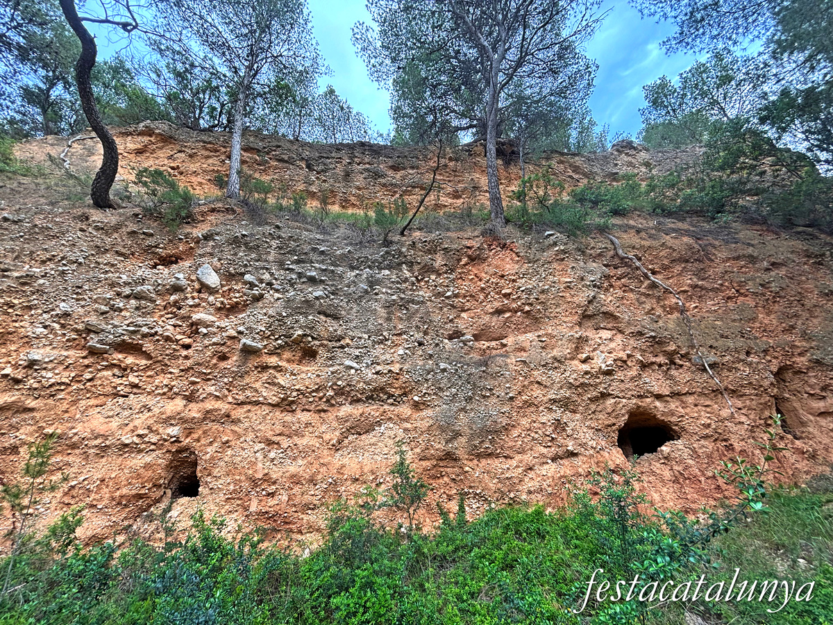 Pinell de Brai - Mines de terra refractària 