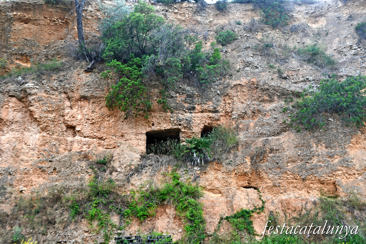 Pinell de Brai - Mines de terra refractària 