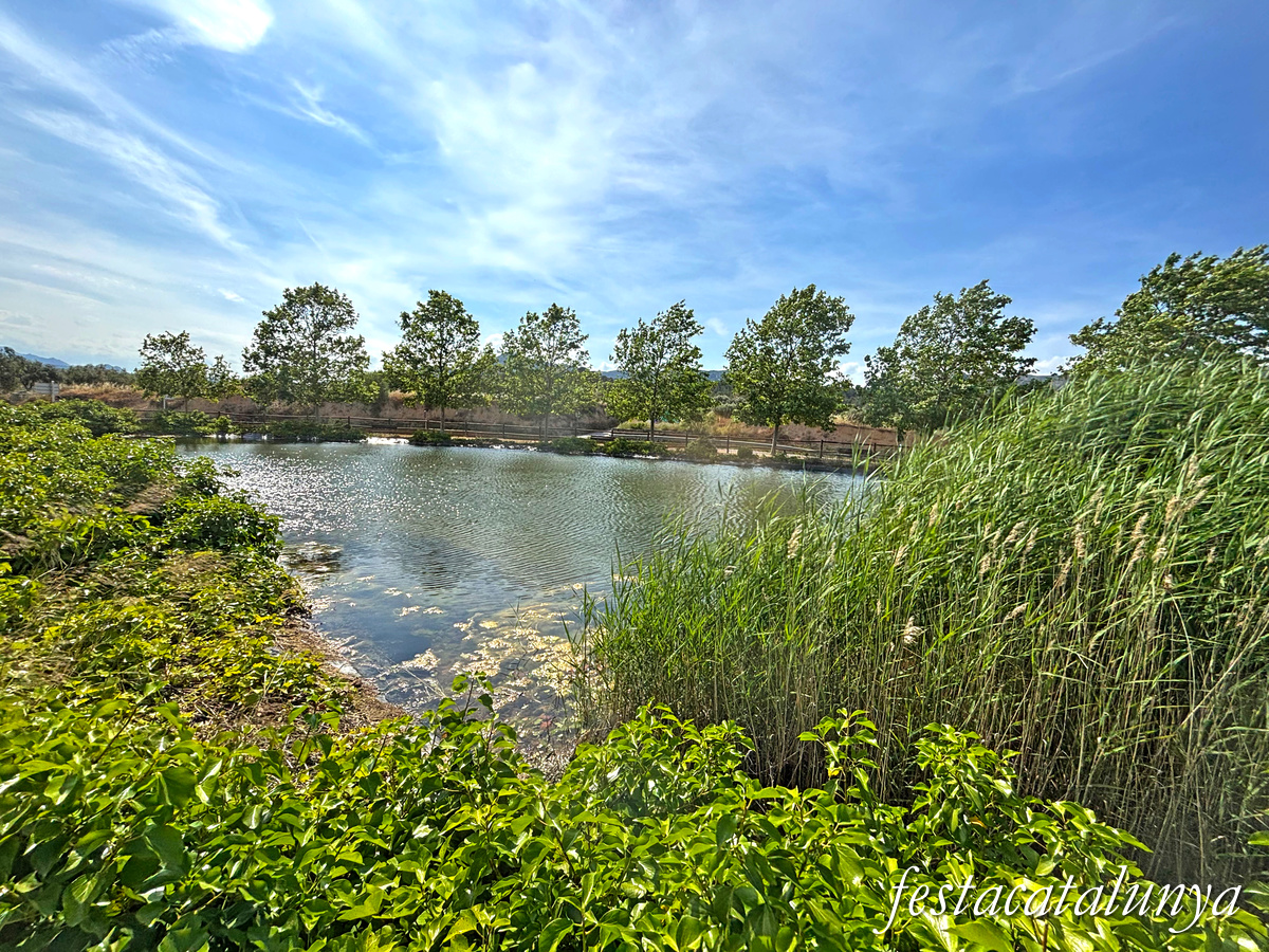 Pinell de Brai - Espais de la Batalla de l'Ebre - Conjunt defensiu de la Bassa