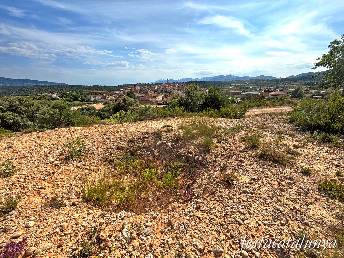 Pinell de Brai - Espais de la Batalla de l'Ebre - Conjunt defensiu de la Bassa