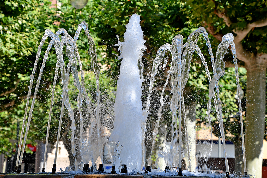 El Pati o la Plaça del Carme de Tàrrega