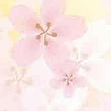 Firallonga a Vilallonga de Ter