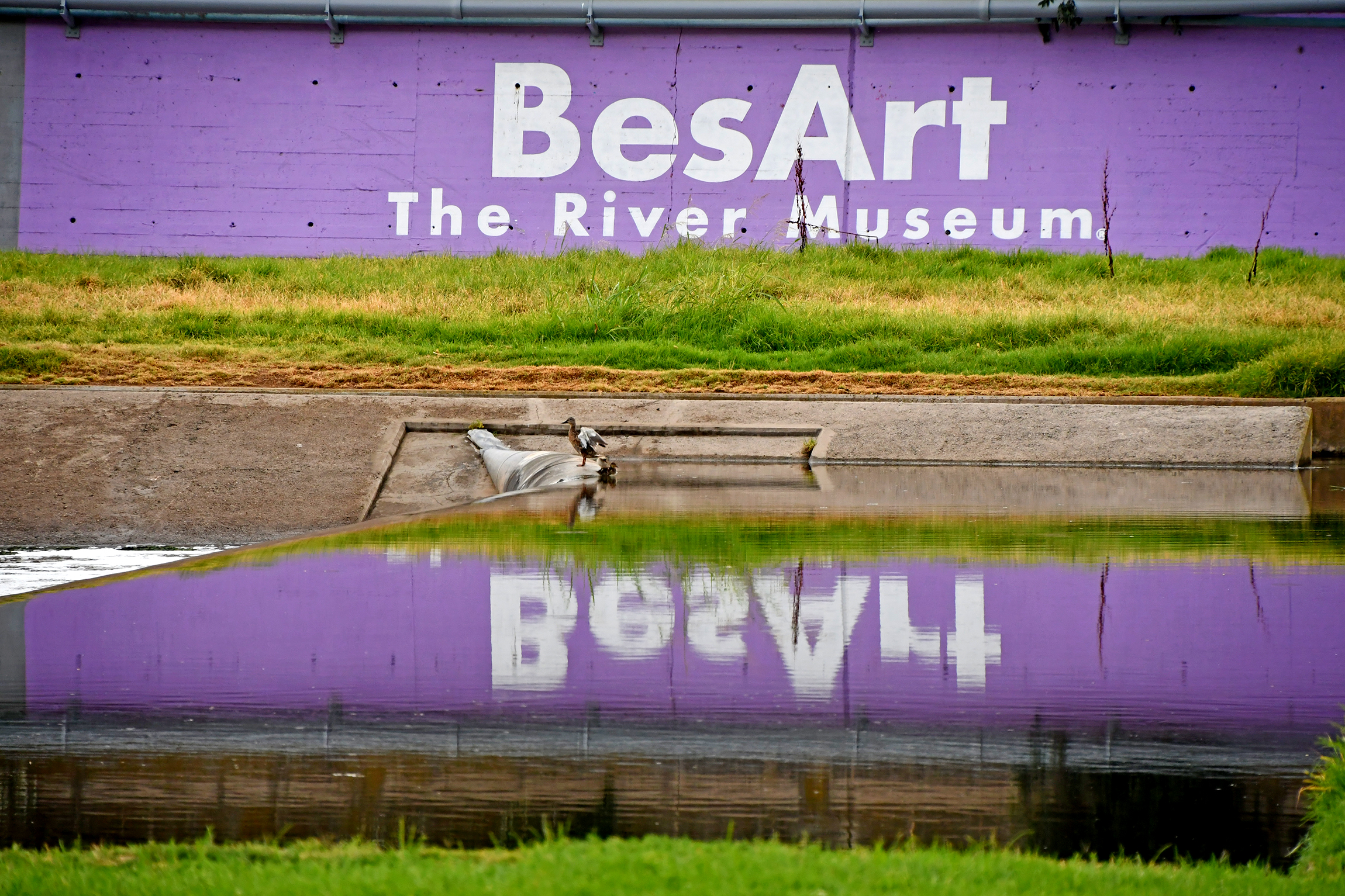 BesArt The River Museum a Santa Coloma de Gramenet ***