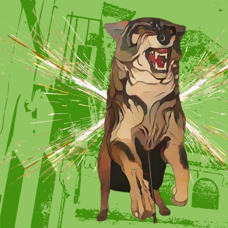 Festa Major de Riells del Fai