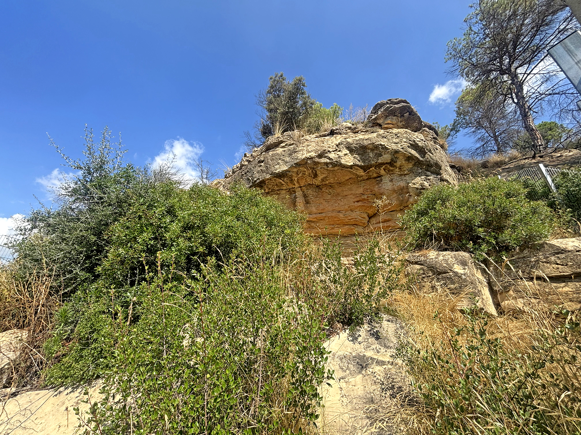 Pintures rupestres de les Brucardes a Sant Fruitós de Bages ***