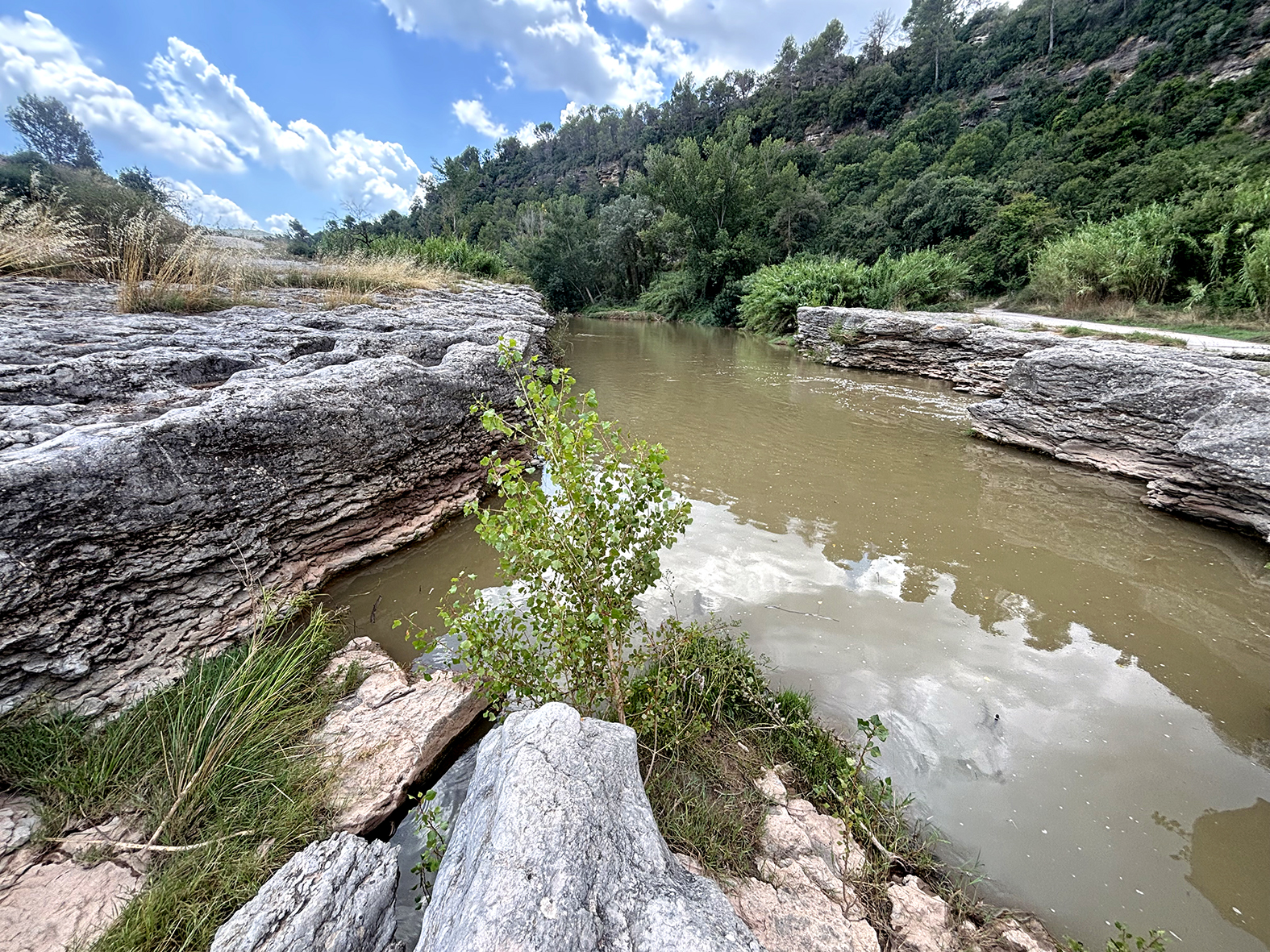 Vora el riu Llobregat a Sant Fruitós de Bages