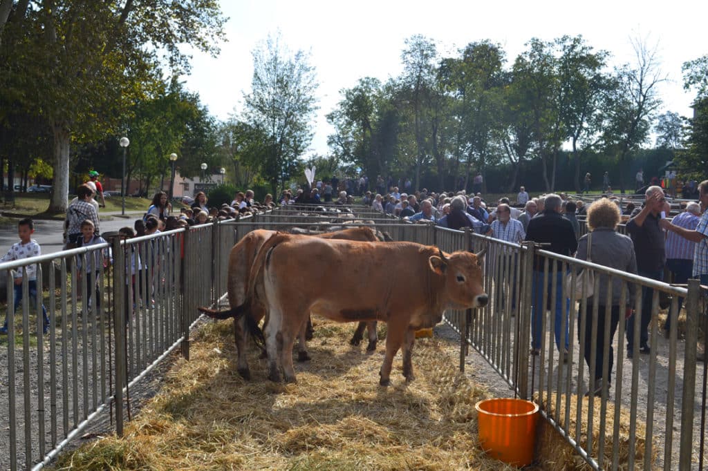 Fira de Sant Lluc d'Olot