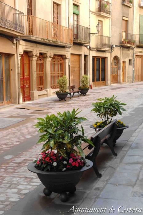 Cervera - Carrer Major (Foto: Paeria de Cervera)