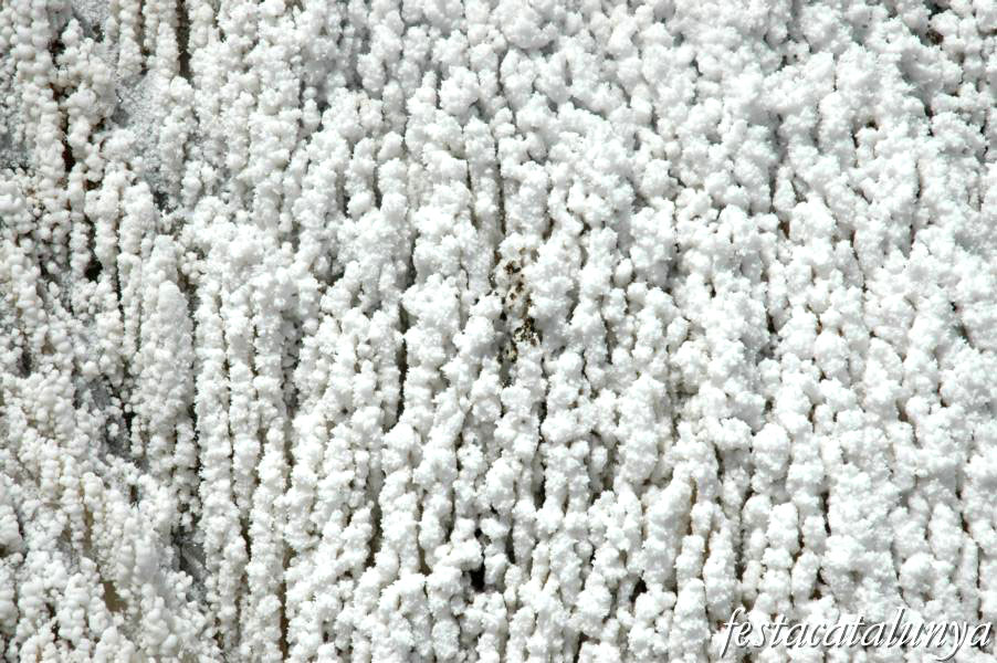 Cardona - Parc Cultural de la Muntanya de Sal