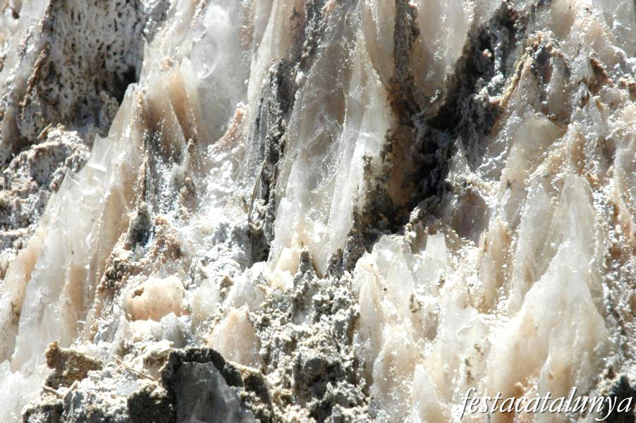 Cardona - Parc Cultural de la Muntanya de Sal