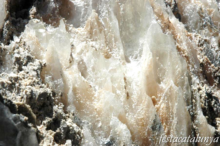 Cardona - Parc Cultural de la Muntanya de Sal