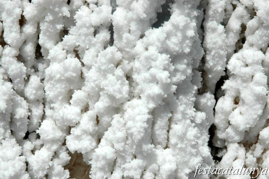 Cardona - Parc Cultural de la Muntanya de Sal