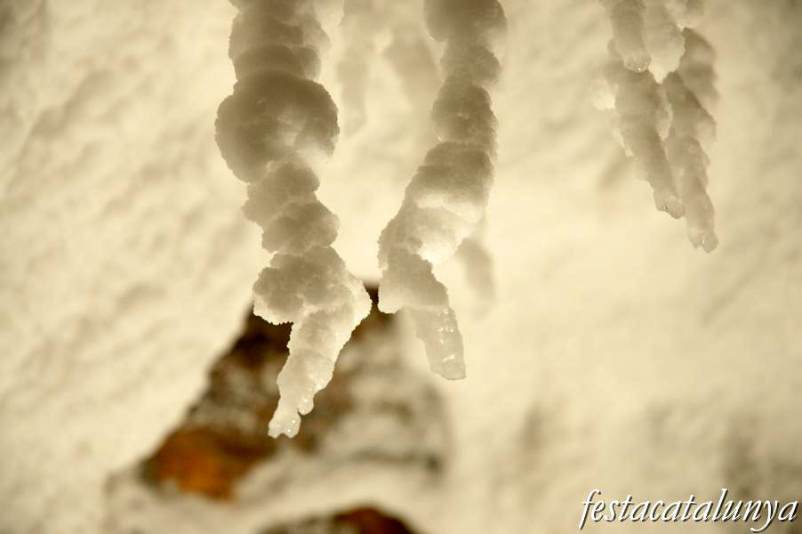 Cardona - Parc Cultural de la Muntanya de Sal
