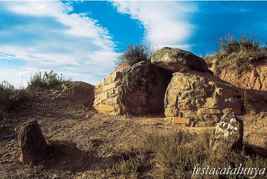 Dolmen de can Pregones a Sallent