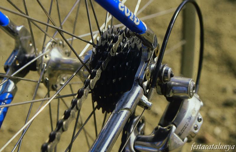 Festa Major de Sant Pere Màrtir d'Òdena