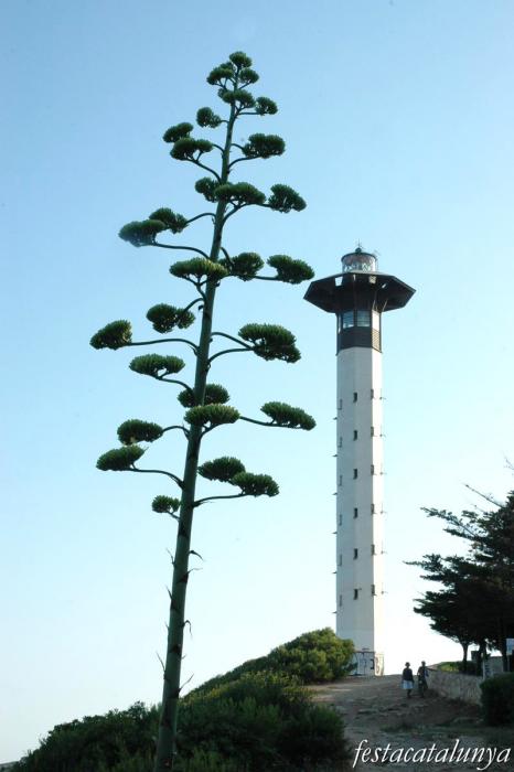 Altres llocs per visitar