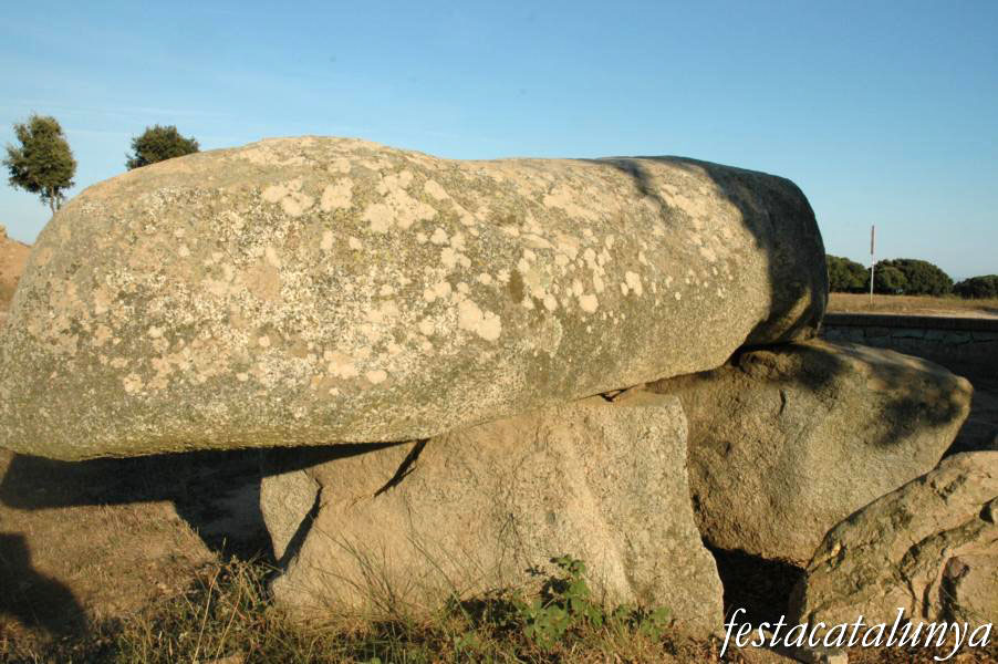 Dolmen de la Roca d'en Toni a Vilassar de Dalt