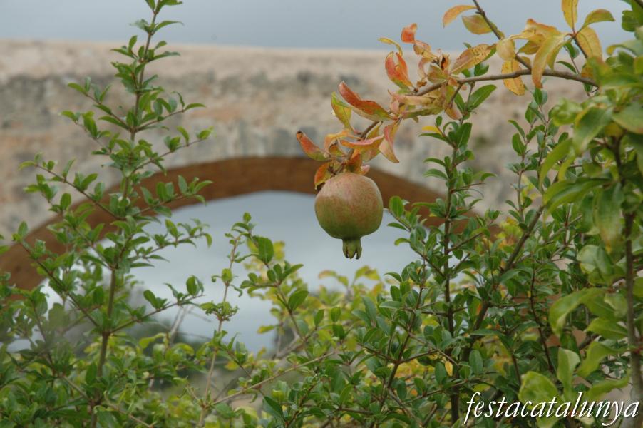 Altres llocs per visitar