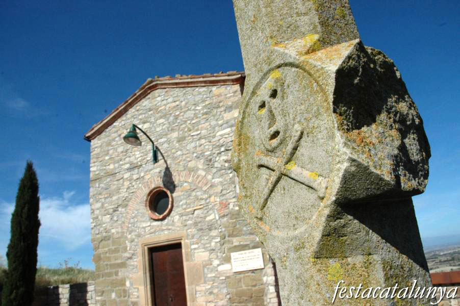Castell de Granyena de Segarra
