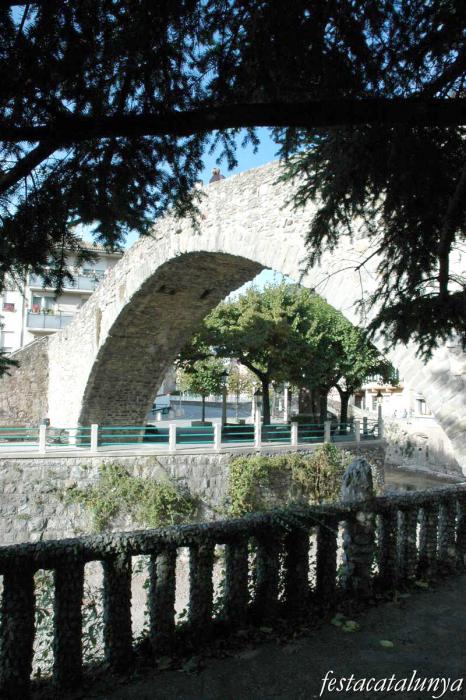Pont Vell de la Pobla de Lillet