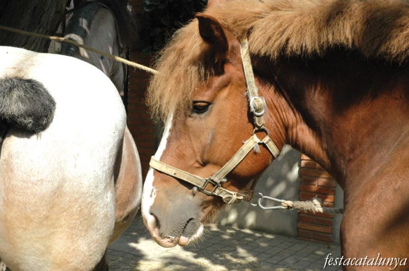 Fira Mil·lenària de Tots Sants de Vilaller