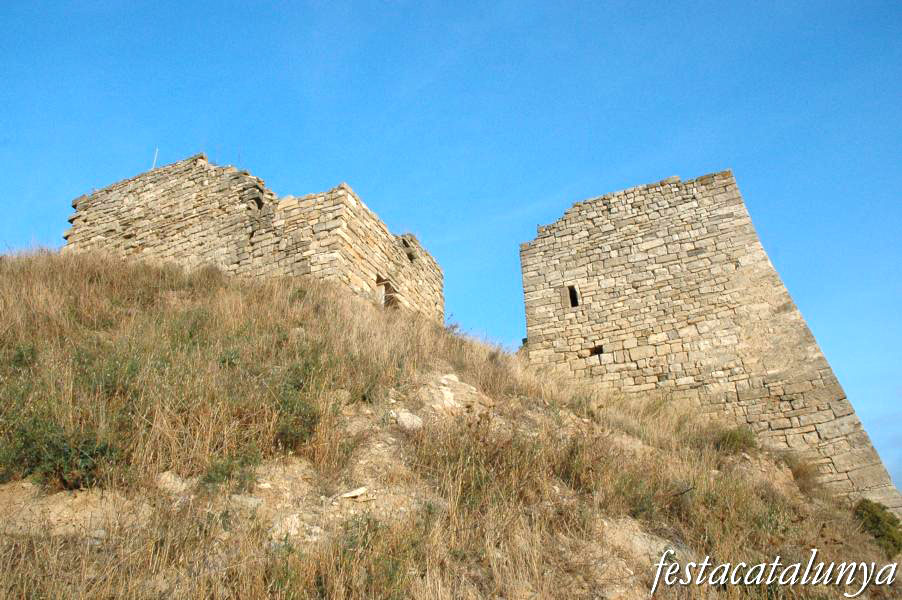 Castell de Montoliu de Segarra