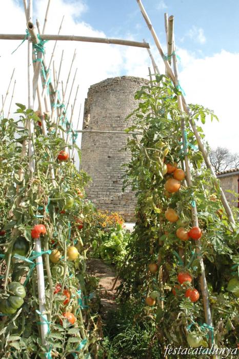 Castell de l'Ametlla de Segarra a Montoliu de Segarra 