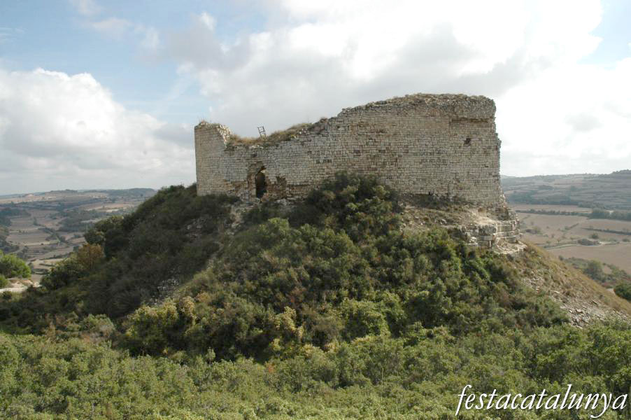 Castell de la Guàrdia Lada a Montoliu de Segarra