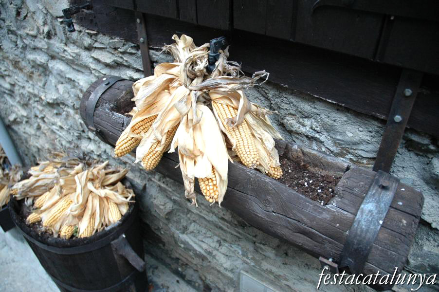 Vielha e Mijaran - Pòble d’Arròs