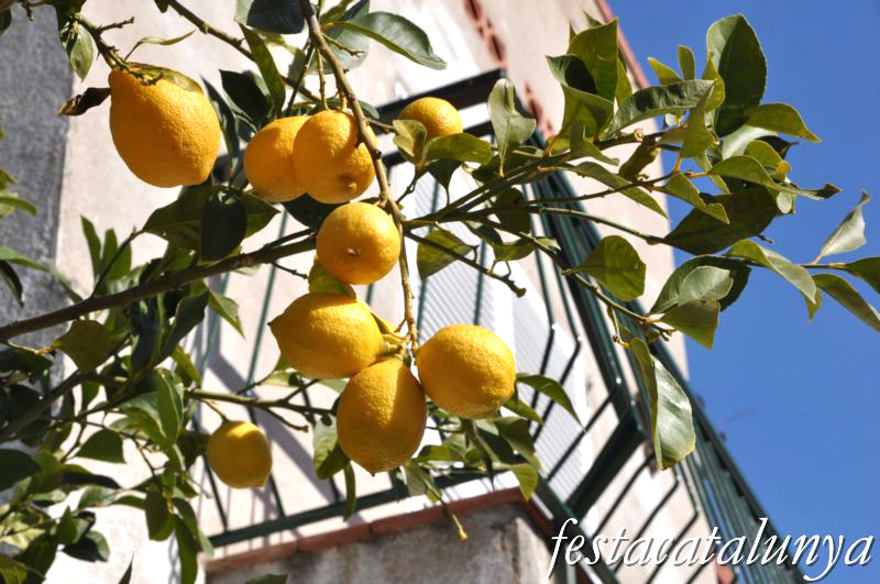 Sant Llorenç d’Hortons - Nucli antic