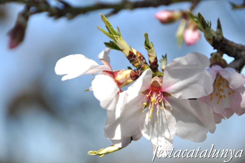 Sant Llorenç d’Hortons - Nucli antic