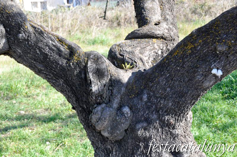 Sant Llorenç d’Hortons - Nucli antic