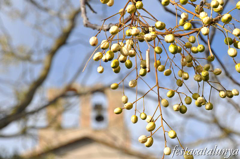 Església de la Mare de Déu de Montserrat de Sant Martí Sarroca