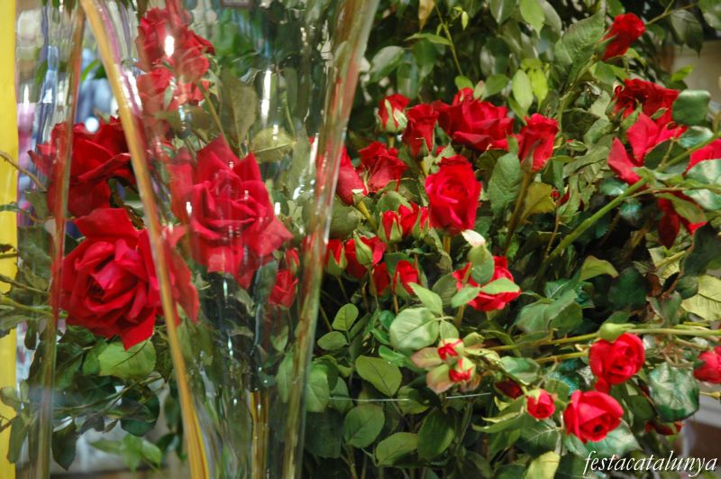 Diada de Sant Jordi a Sant Cugat Sesgarrigues