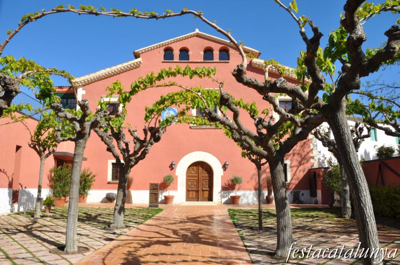 Masies del terme de Sant Cugat Sesgarrigues