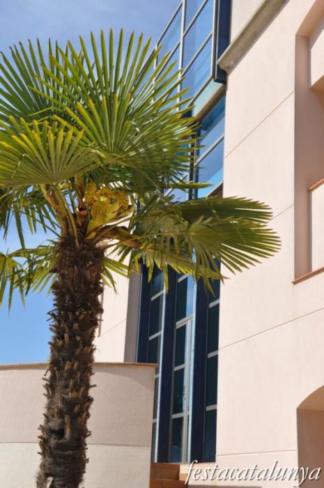 Sant Cugat Sesgarrigues - Ajuntament