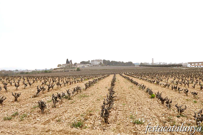 Santa Margarida i els Monjos - Santa Maria de la Bleda
