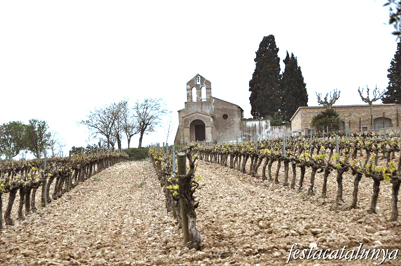 Santa Maria de la Bleda a Santa Margarida i els Monjos