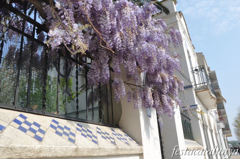 Santa Margarida i els Monjos - Cases de l’Avinguda Catalunya (Casa Casalé)