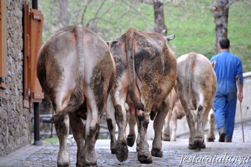 Gessa (Naut Aran) - Pòble de Gessa