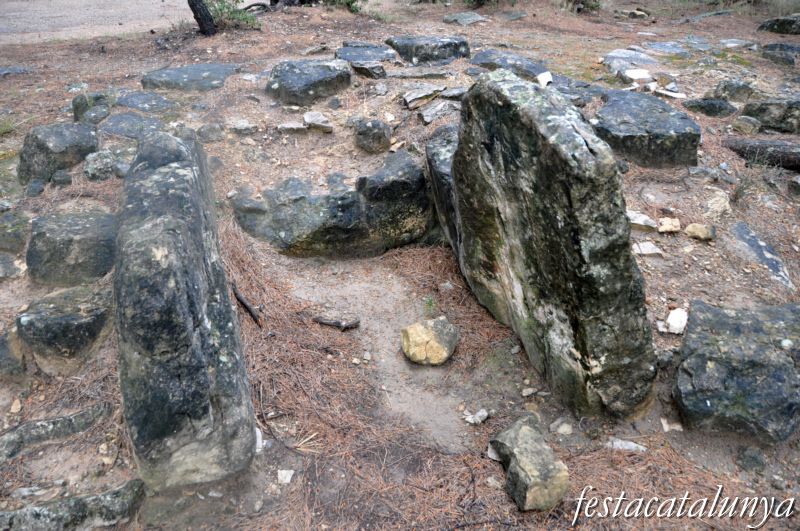 Necròpolis del coll del Moro a Gandesa