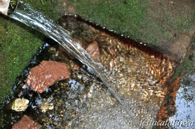 Fonts naturals de Gelida ***