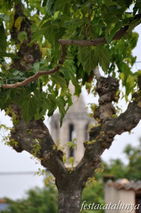 Església parroquial de Sant Martí a Cassà de la Selva