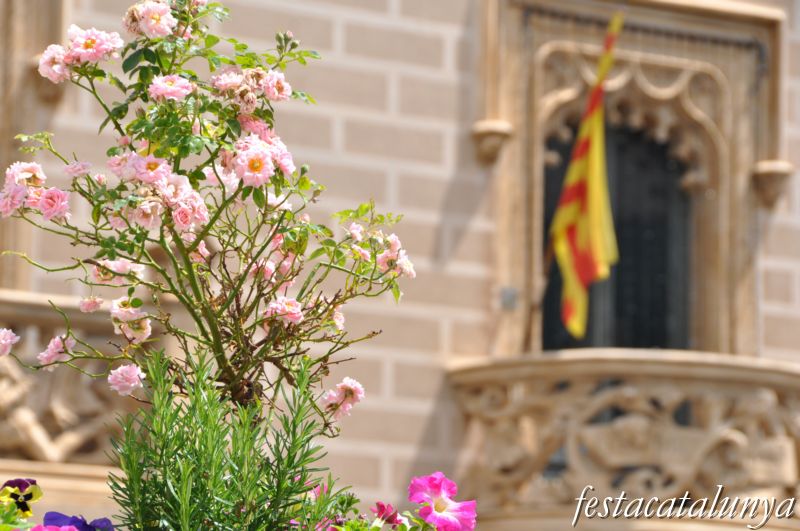 Cassà de la Selva - Can Trinxeria