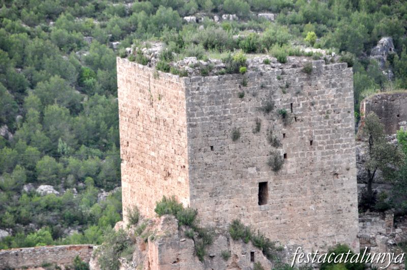 Castell de Mediona