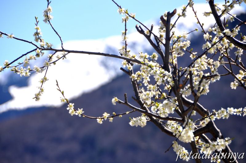 Nucli històric de Bausen