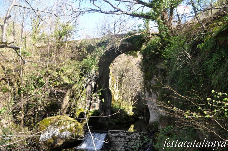 Pont medieval de Canejan