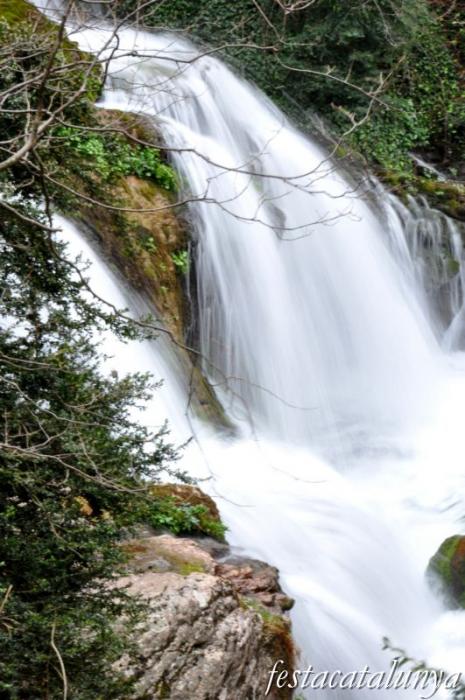 Castellar de n’Hug - Fonts del riu Llobregat