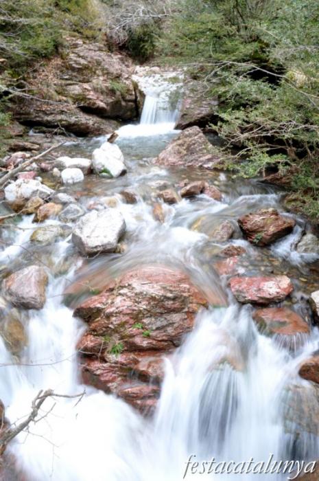 Castellar de n’Hug - Fonts del riu Llobregat