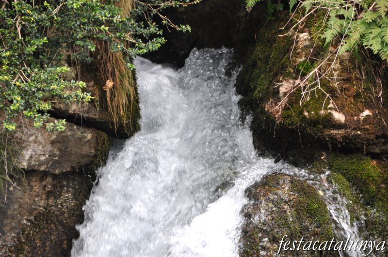 Castellar de n’Hug - Fonts del riu Llobregat